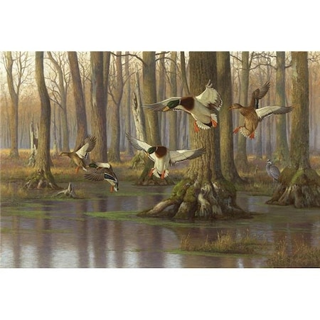 Custom Printed Rugs Custom Printed Rugs DM 63 Lambsom Mallards Peaceful Pond DM 63